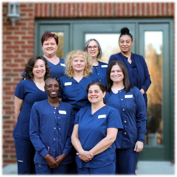 Meet Our Team